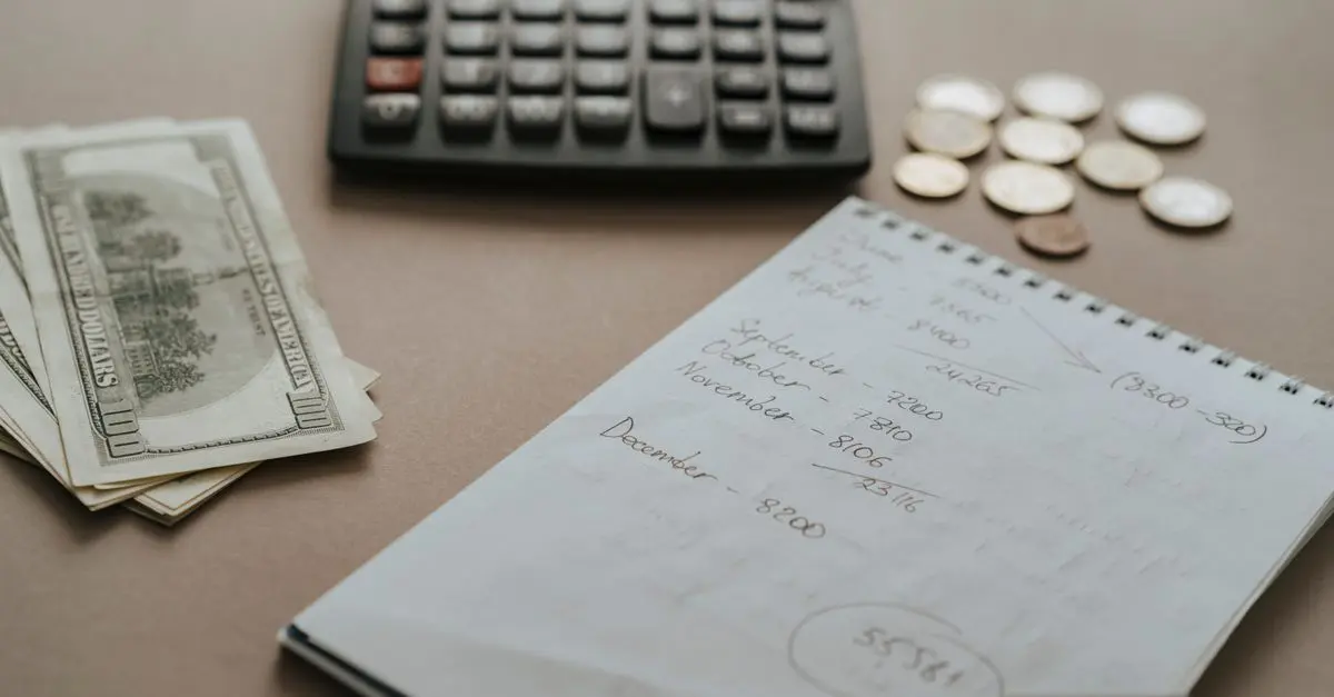 Colliers budget : le meilleur rapport qualité-prix